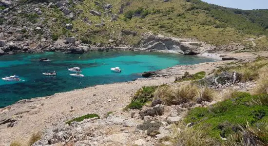 Cala Figuera