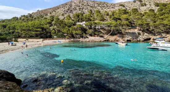 Cala Murta