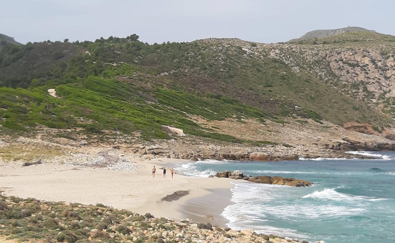 Photo de Playa S'Arenalet des Verger avec sable gris de surface
