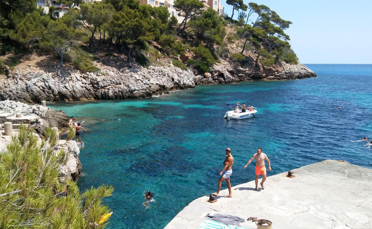 Photo de Cala Serch avec caillou fin clair de surface