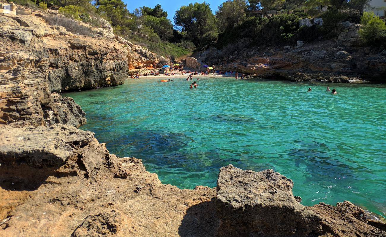 Photo de Calo Fort avec caillou clair de surface