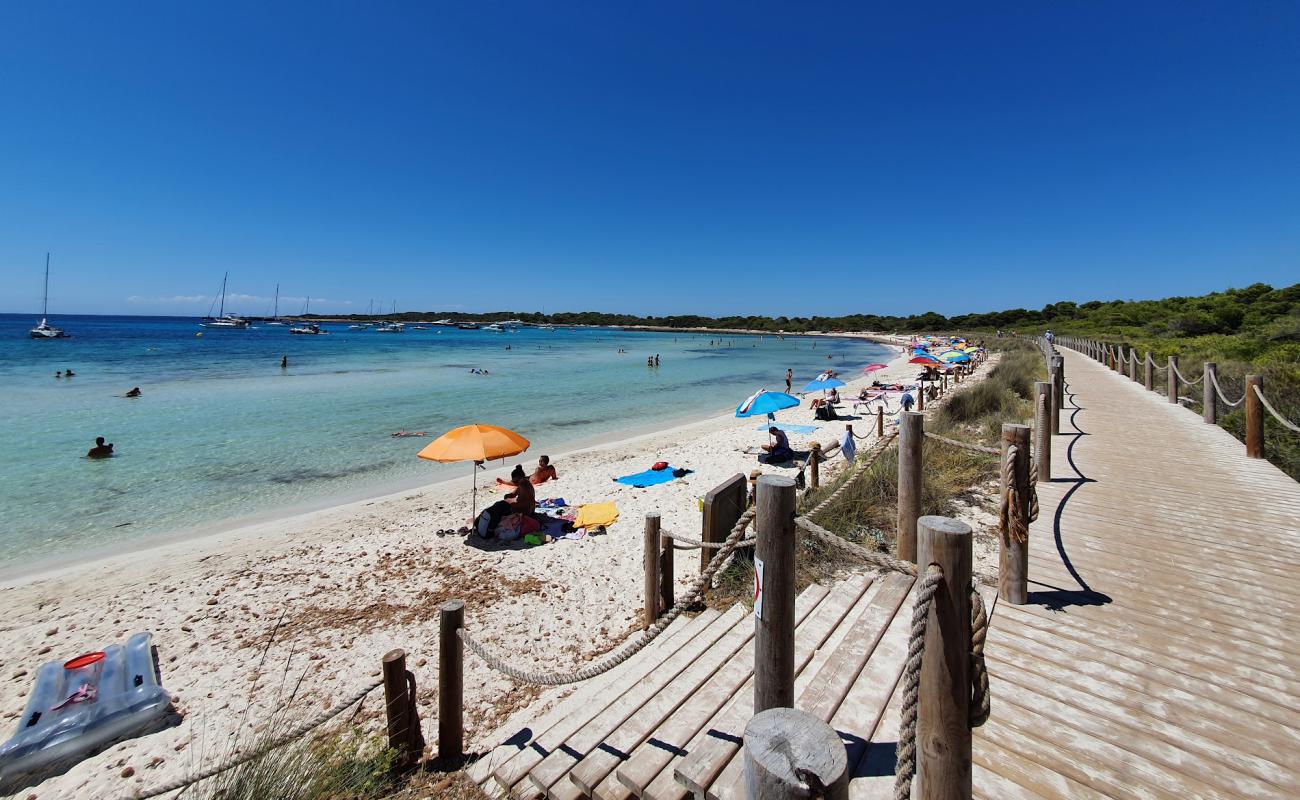 Photo de Platja de Son Saura avec sable lumineux de surface