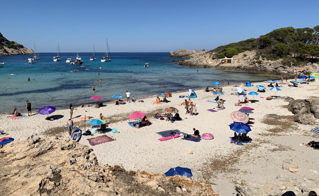 Photo de Platja de Ses Cavasses avec terrain rocheux de surface