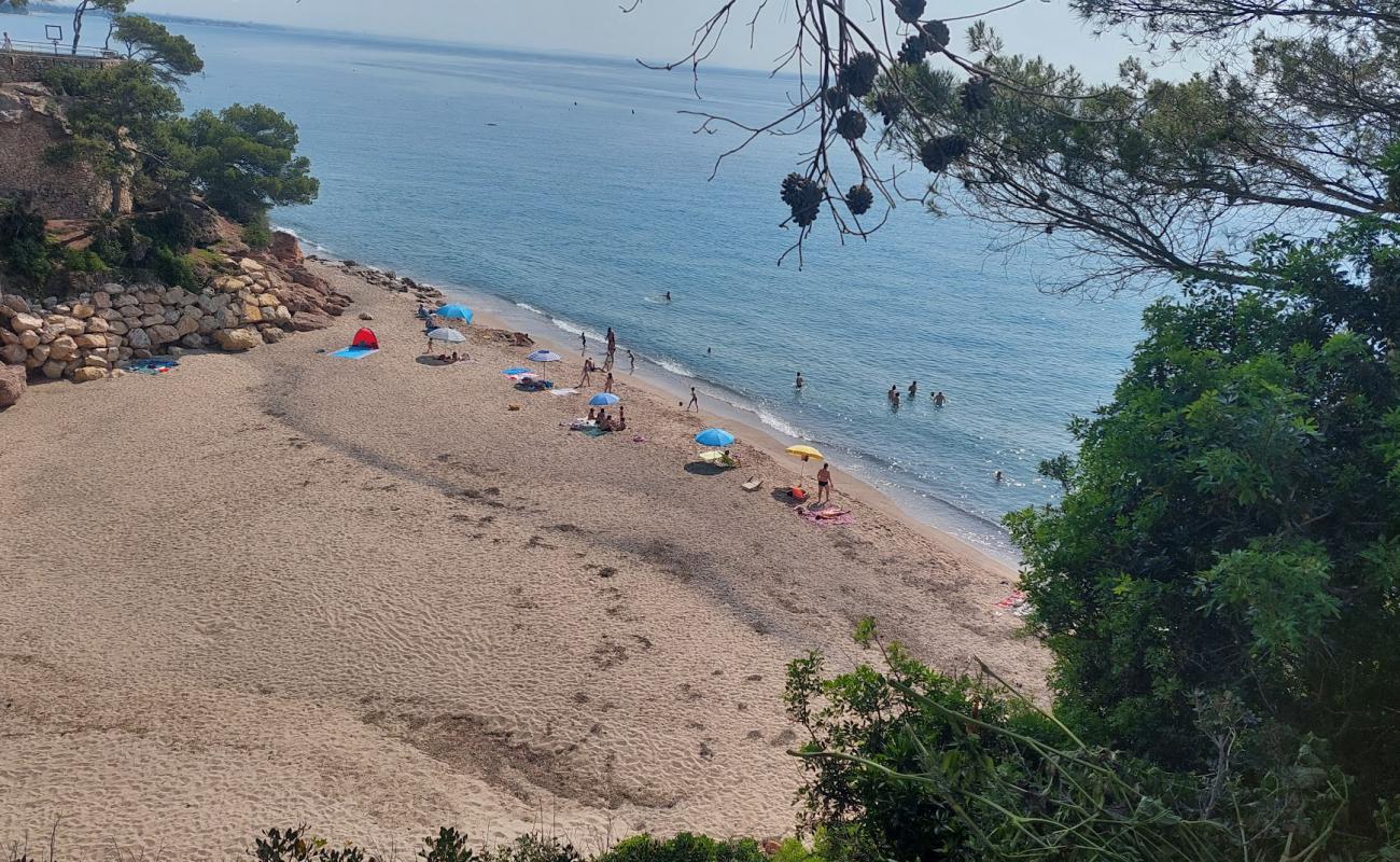 Photo de Cala Dels Vienesos avec sable beige de surface