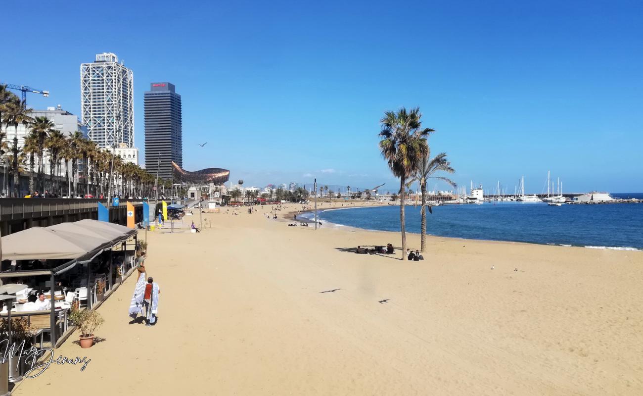 Photo de Platja del Somorrostro avec sable beige de surface