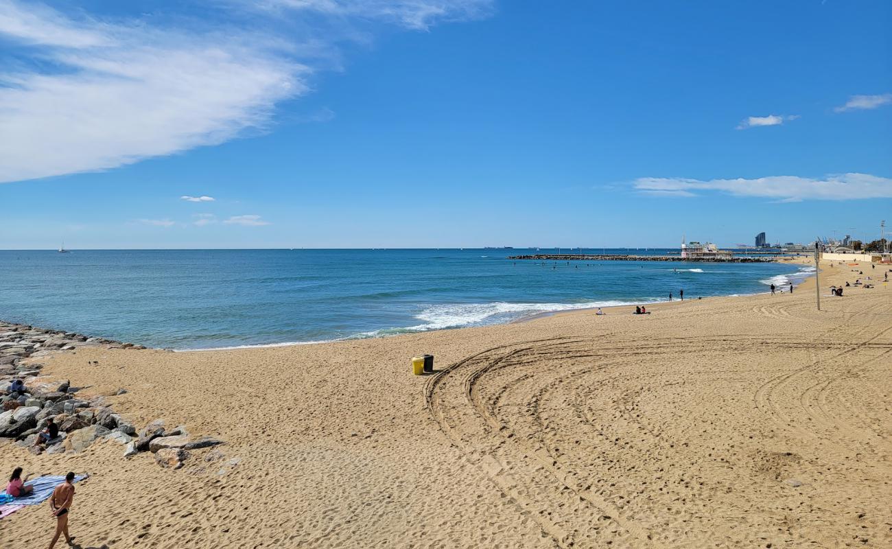 Photo de Llevant Beach avec sable lumineux de surface