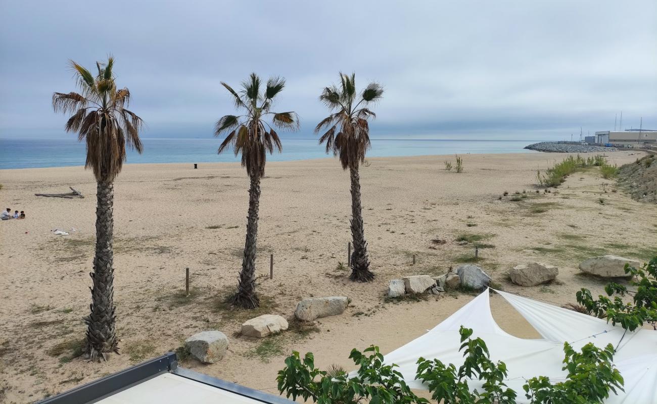 Photo de Platja del Cavallo avec sable lumineux de surface