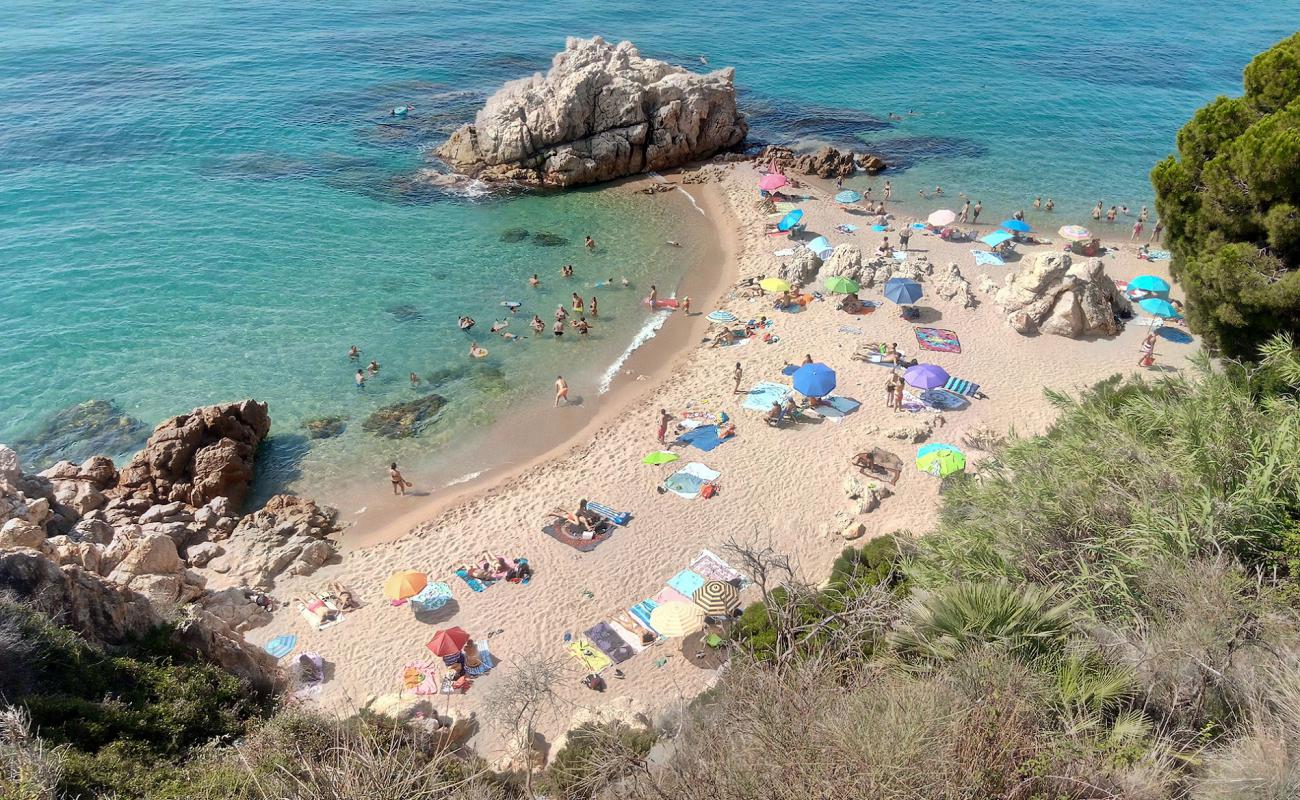 Photo de Cala Roca Grossa avec sable lumineux de surface