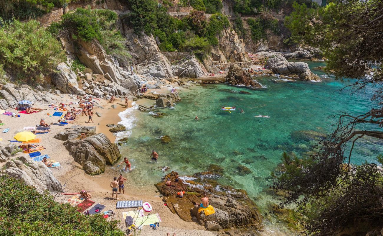 Photo de Cala d'en Trons avec sable beige & pierres de surface