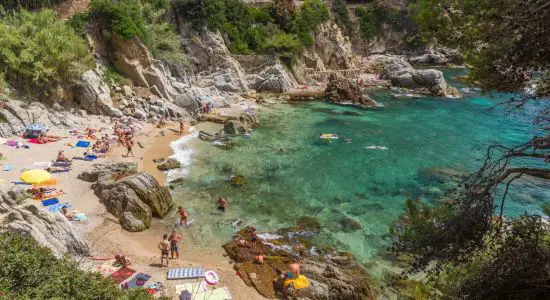 Cala d'en Trons