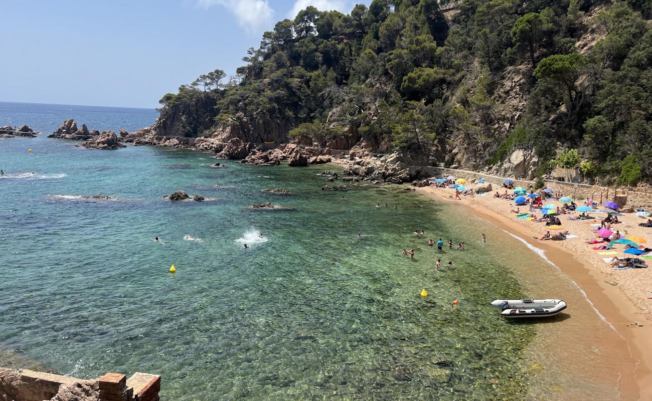 Photo de Rosamar Cala avec sable beige de surface