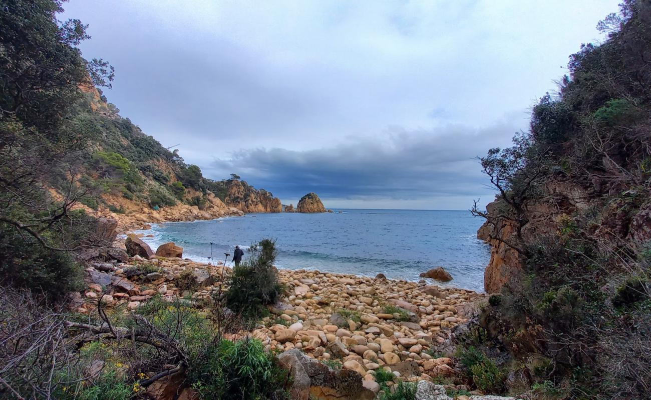 Photo de Cala d'Urgell Beach avec terrain rocheux de surface