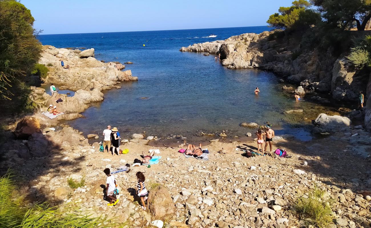 Photo de Cala Pedrosa avec terrain rocheux de surface