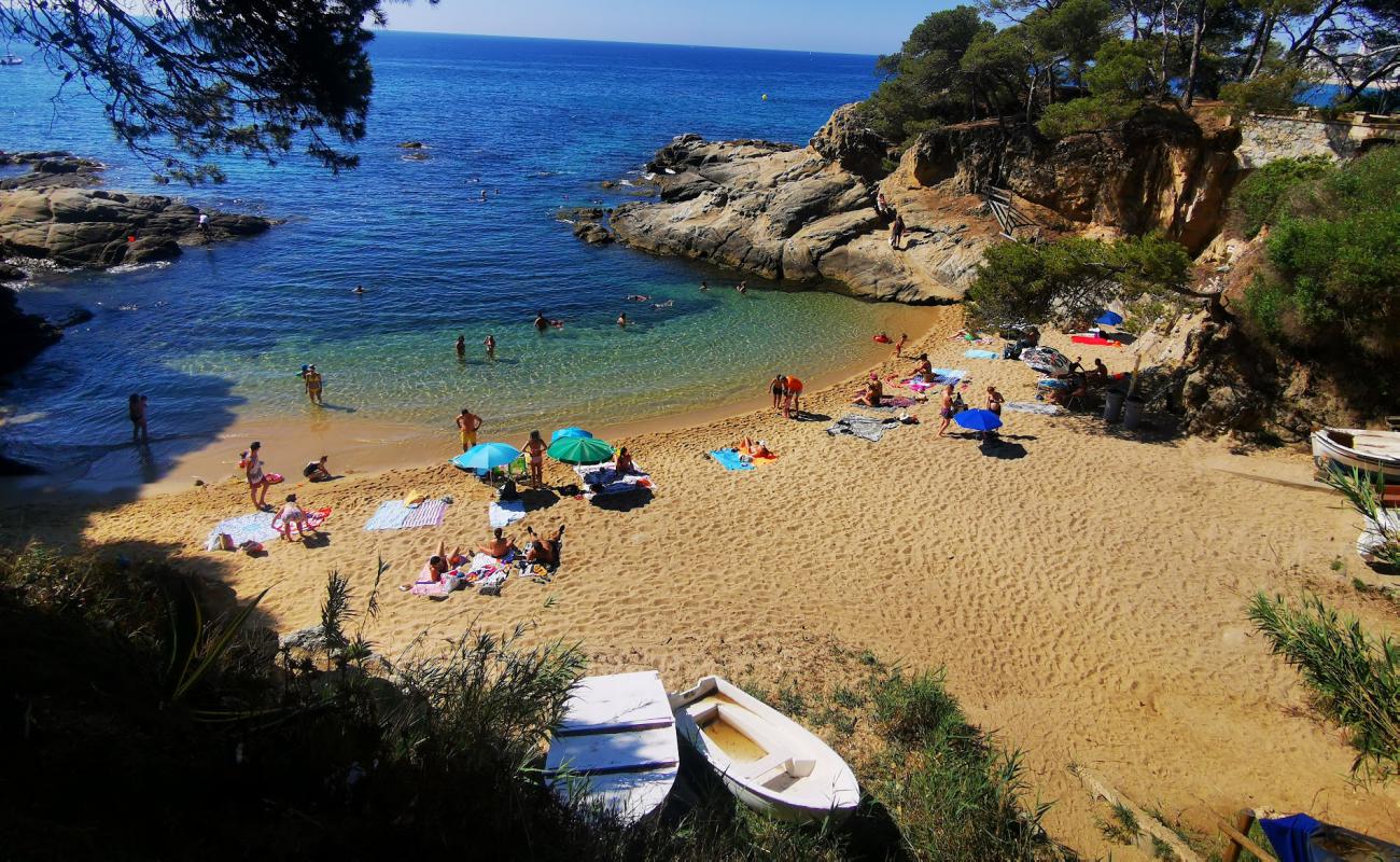 Photo de Cala Sa Cova avec sable beige de surface