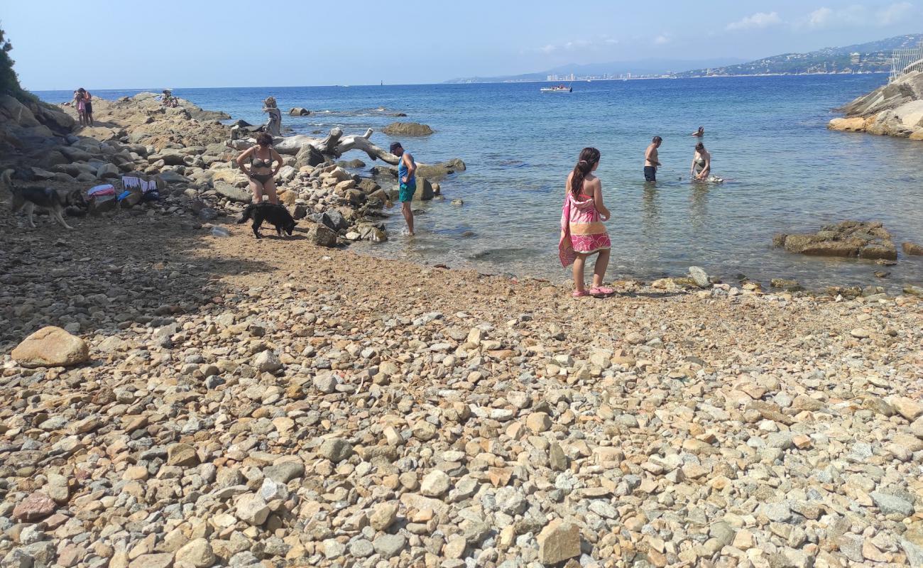Photo de Playa Pere Grau avec terrain rocheux de surface