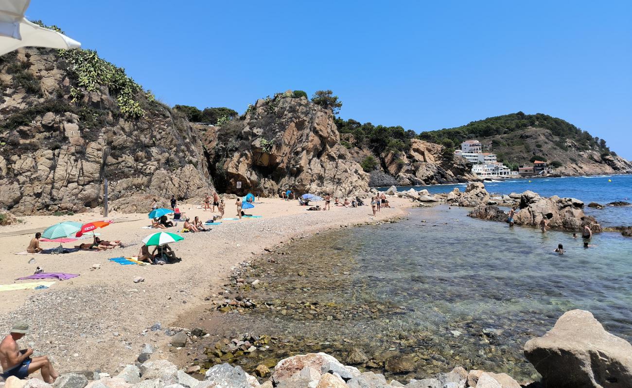 Photo de Cala del Morro del Vedell avec sable beige & pierres de surface