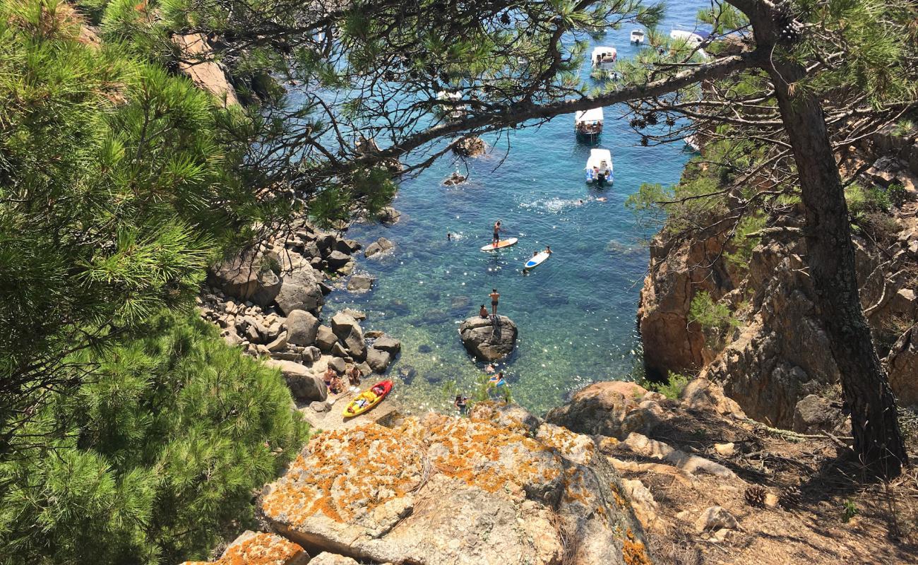 Photo de Platja de la Foradada avec terrain rocheux de surface