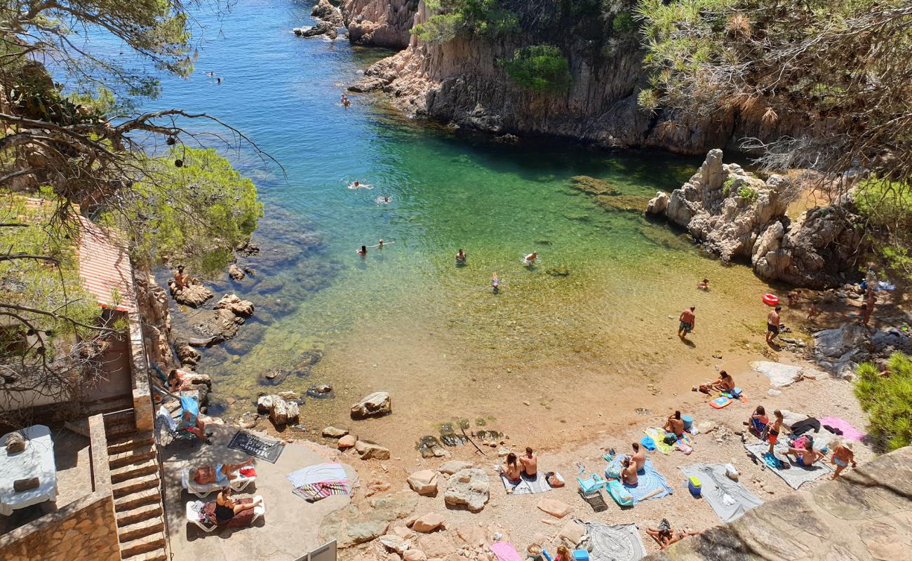 Photo de Cala d'Aigua Xelida avec roches de surface