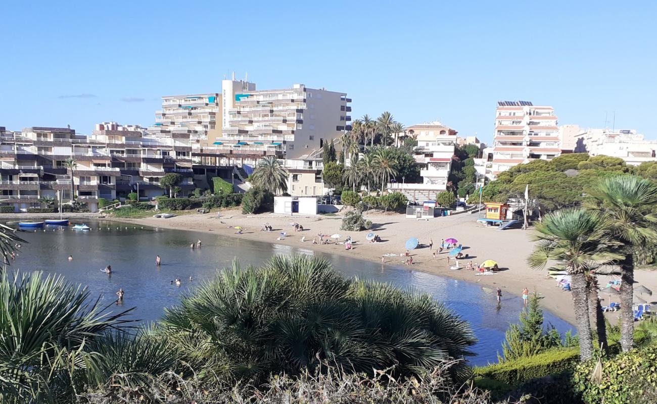 Photo de Cala del Pino avec sable lumineux de surface