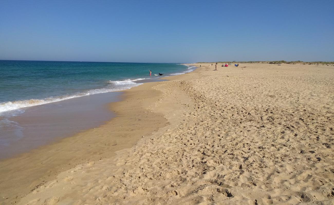 Photo de Playa Mangueta avec sable lumineux de surface