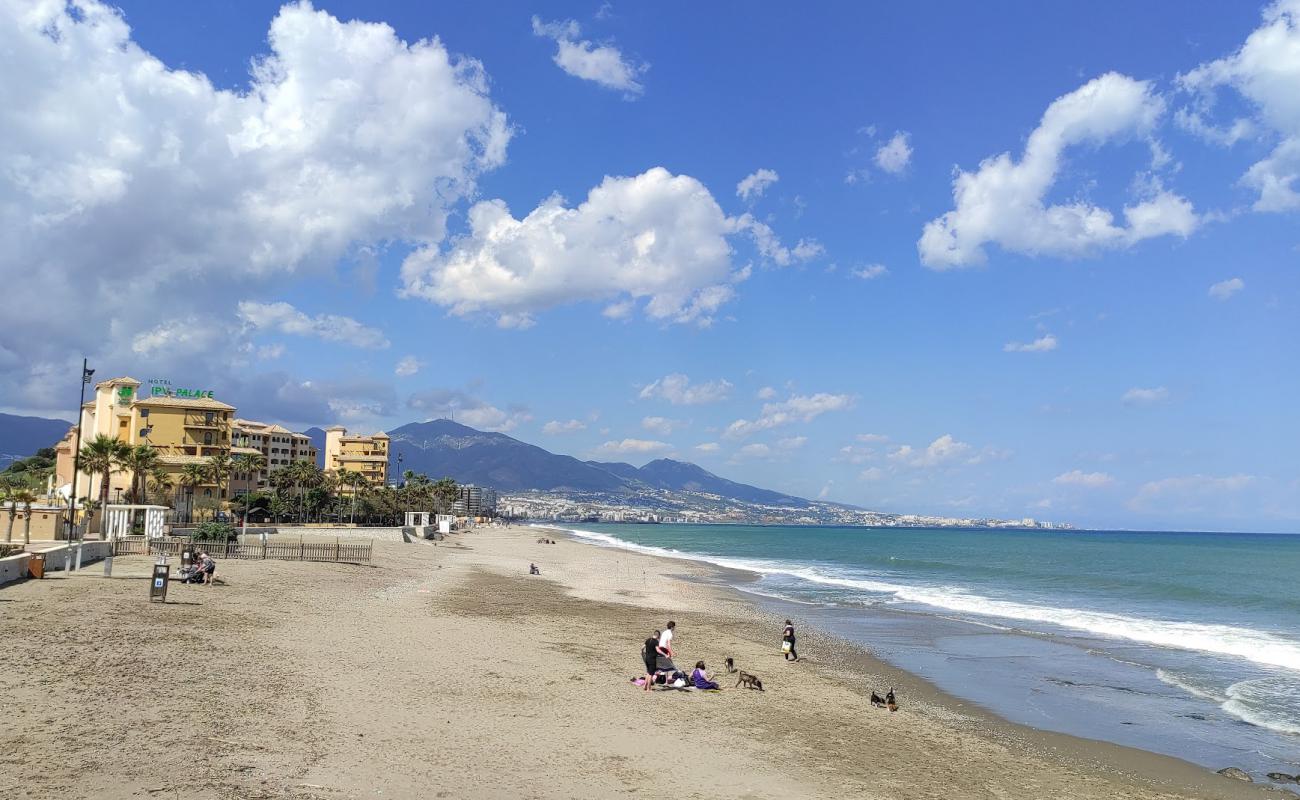 Photo de Playa Para Perros avec caillou fin gris de surface