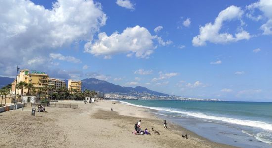 Playa Para Perros