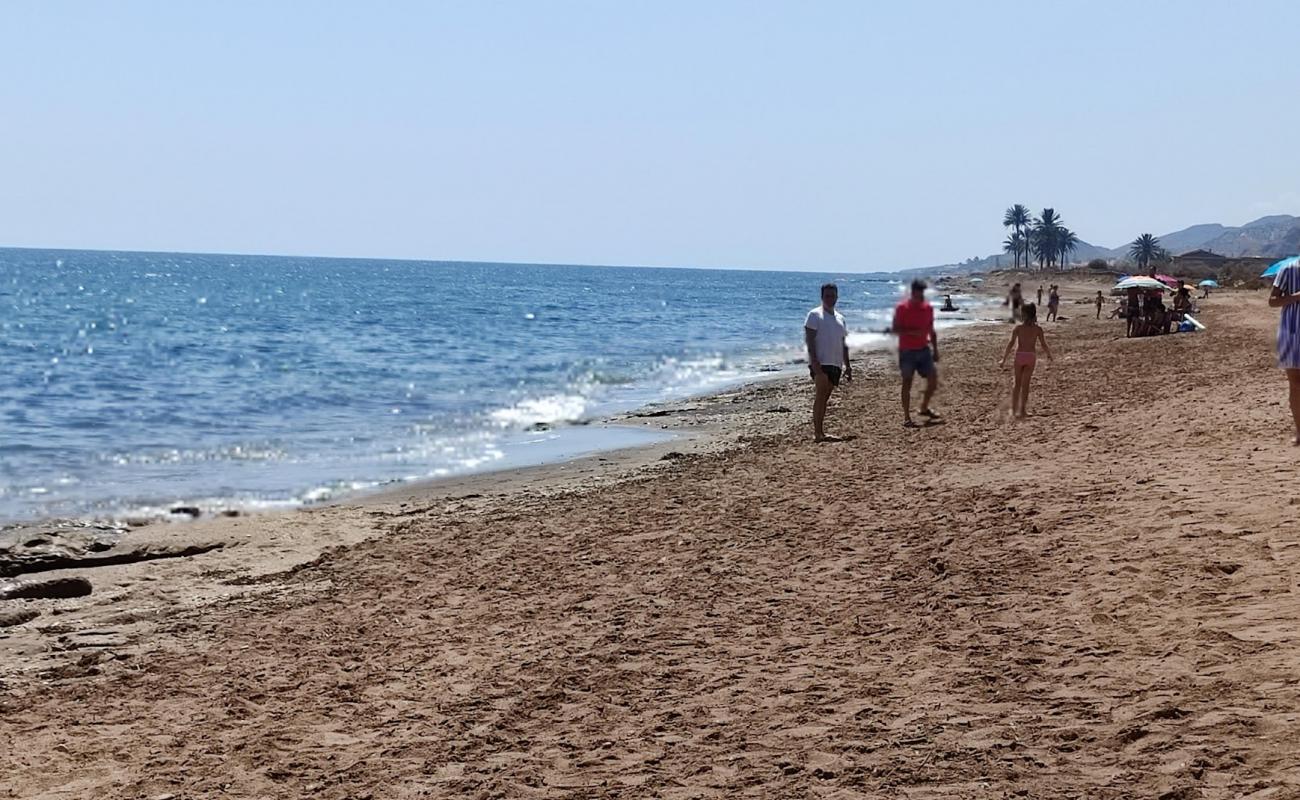 Photo de Playa la Entrevista avec sable lumineux de surface