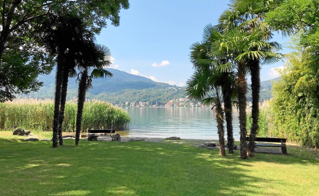 Photo de Strandbad Thun "Stramu" avec herbe de surface