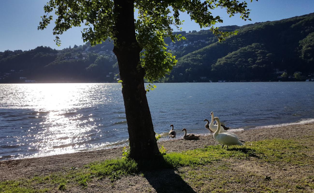 Photo de Derflistrasse am Brienzersee avec roches de surface