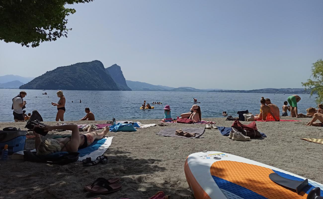 Photo de Vitznau Beach avec caillou fin clair de surface