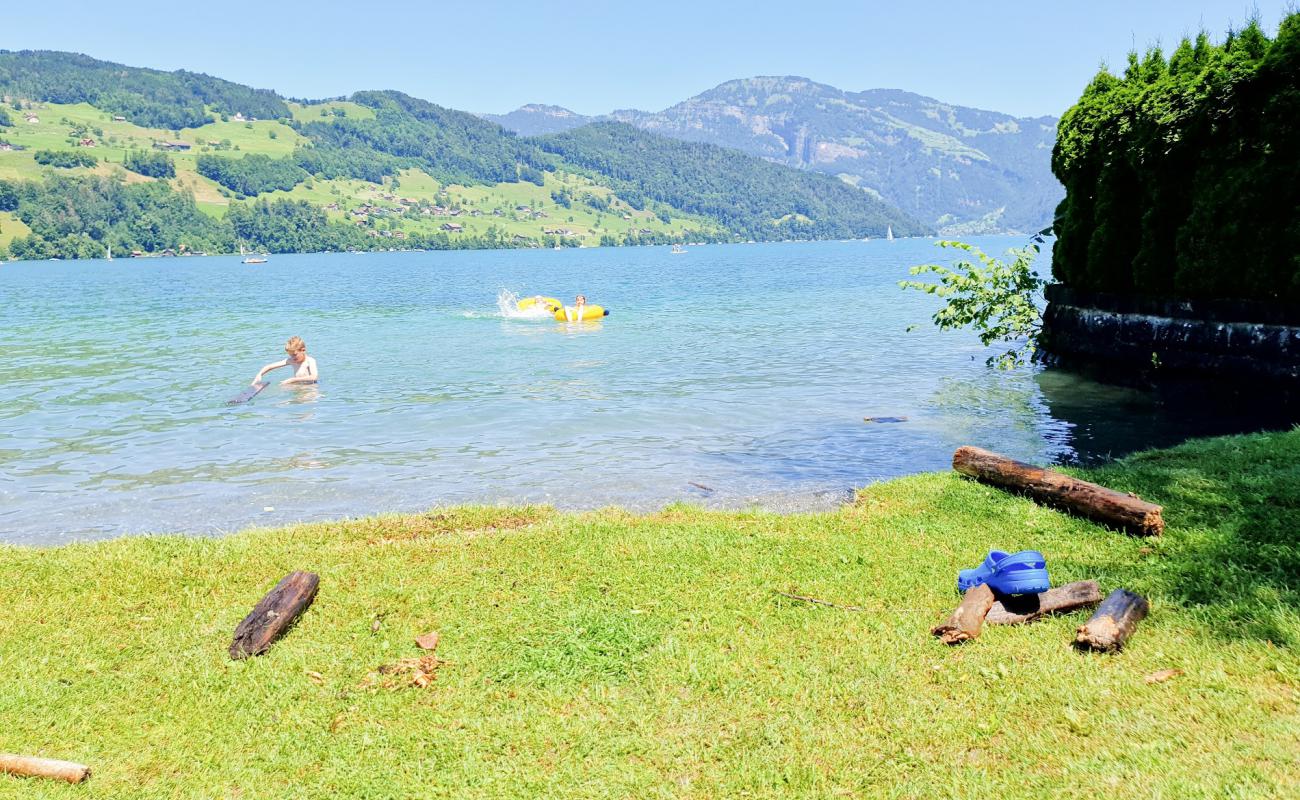 Photo de Trauerweide Beach avec herbe de surface