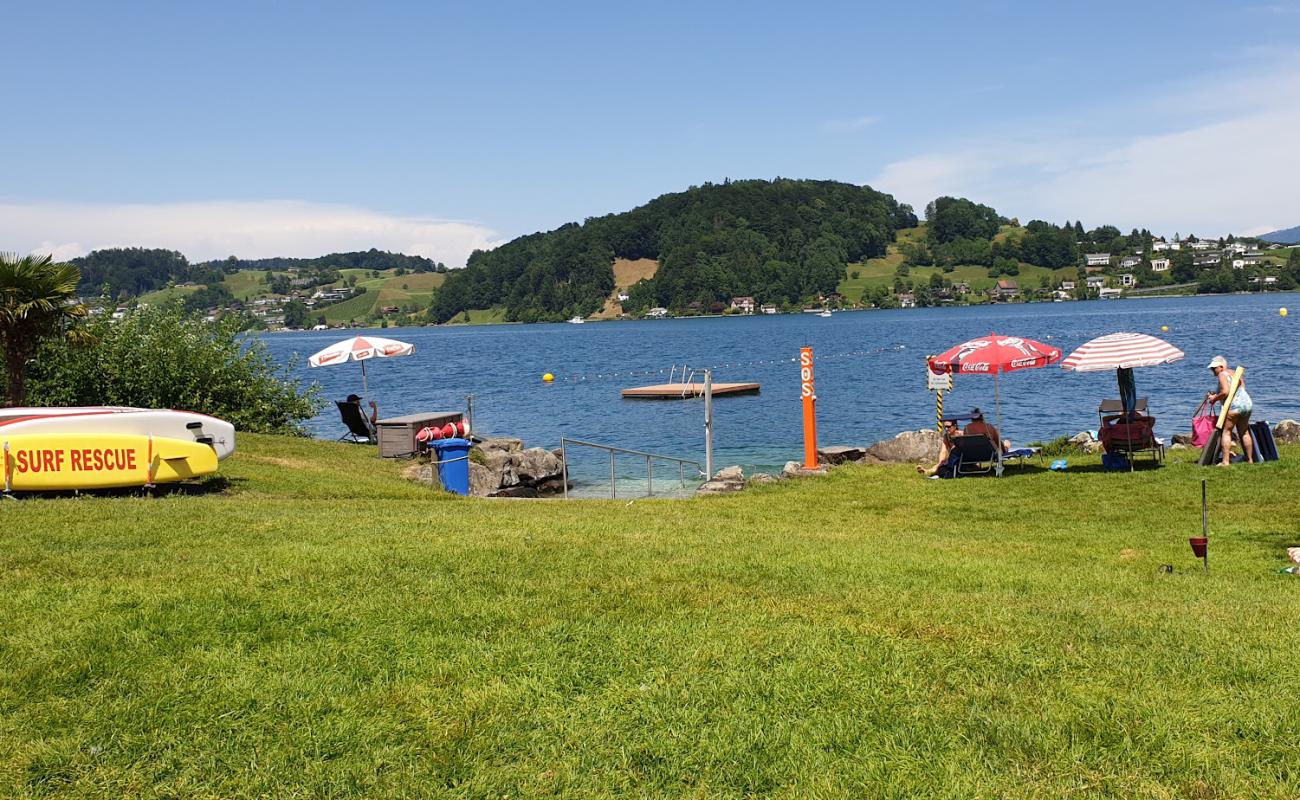 Photo de Badi Hergiswil Beach avec herbe de surface