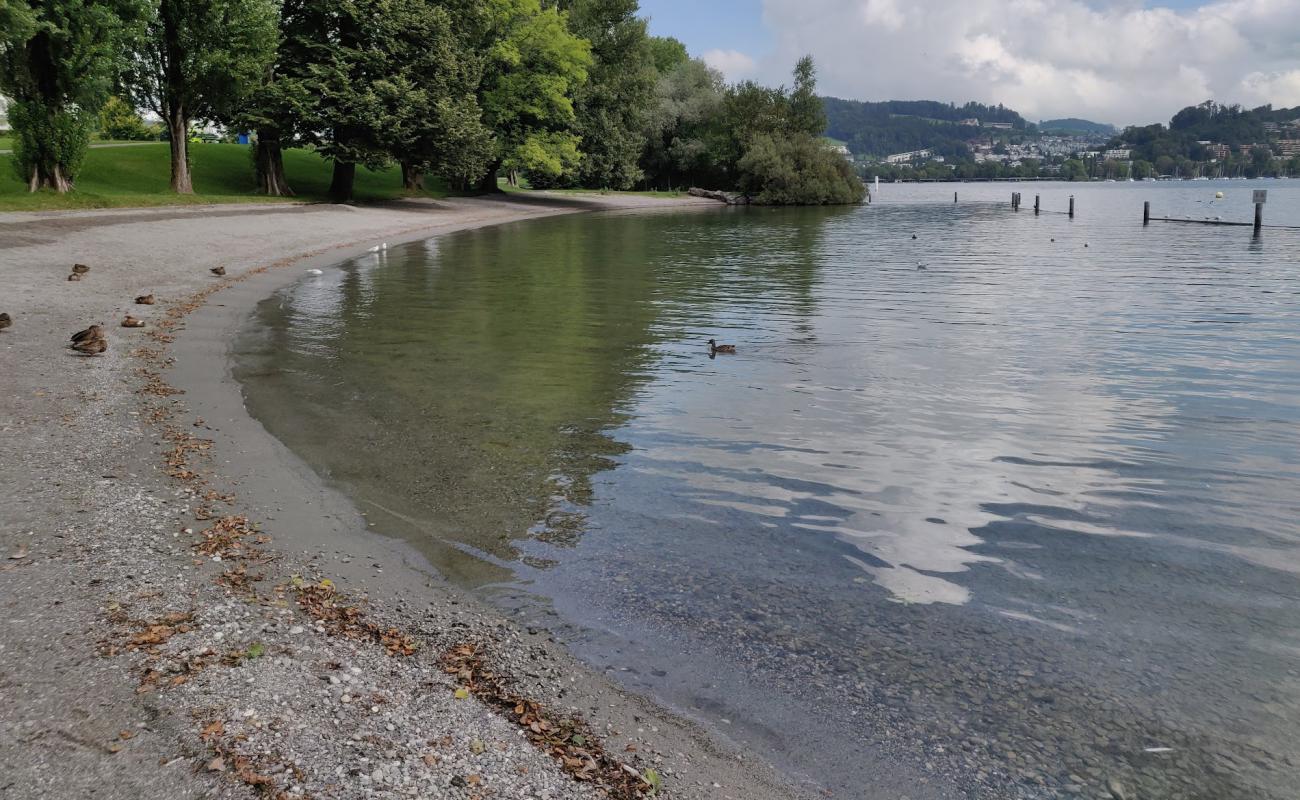 Photo de Strandbad Tribschen Lucerne avec petits galets gris de surface