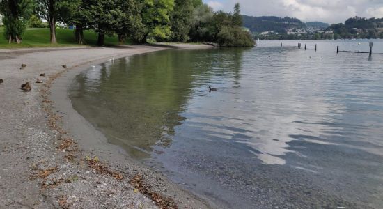 Strandbad Tribschen Lucerne