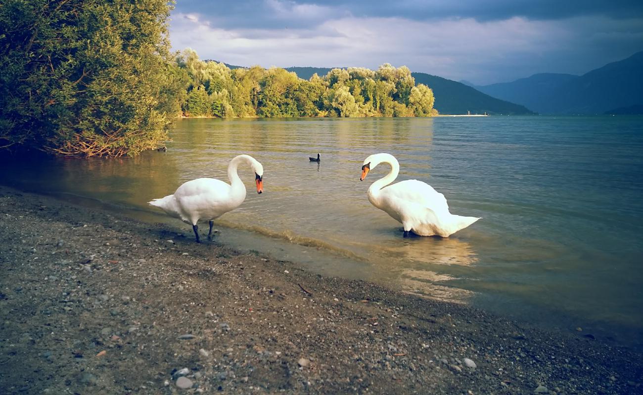 Photo de Choller Zug nudist Beach avec sable beige de surface
