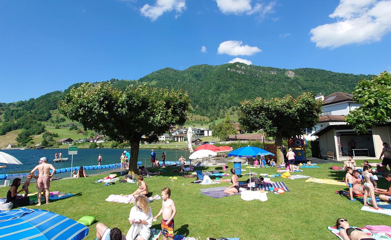 Photo de Seebad Arth Beach avec surface béton pavée de surface