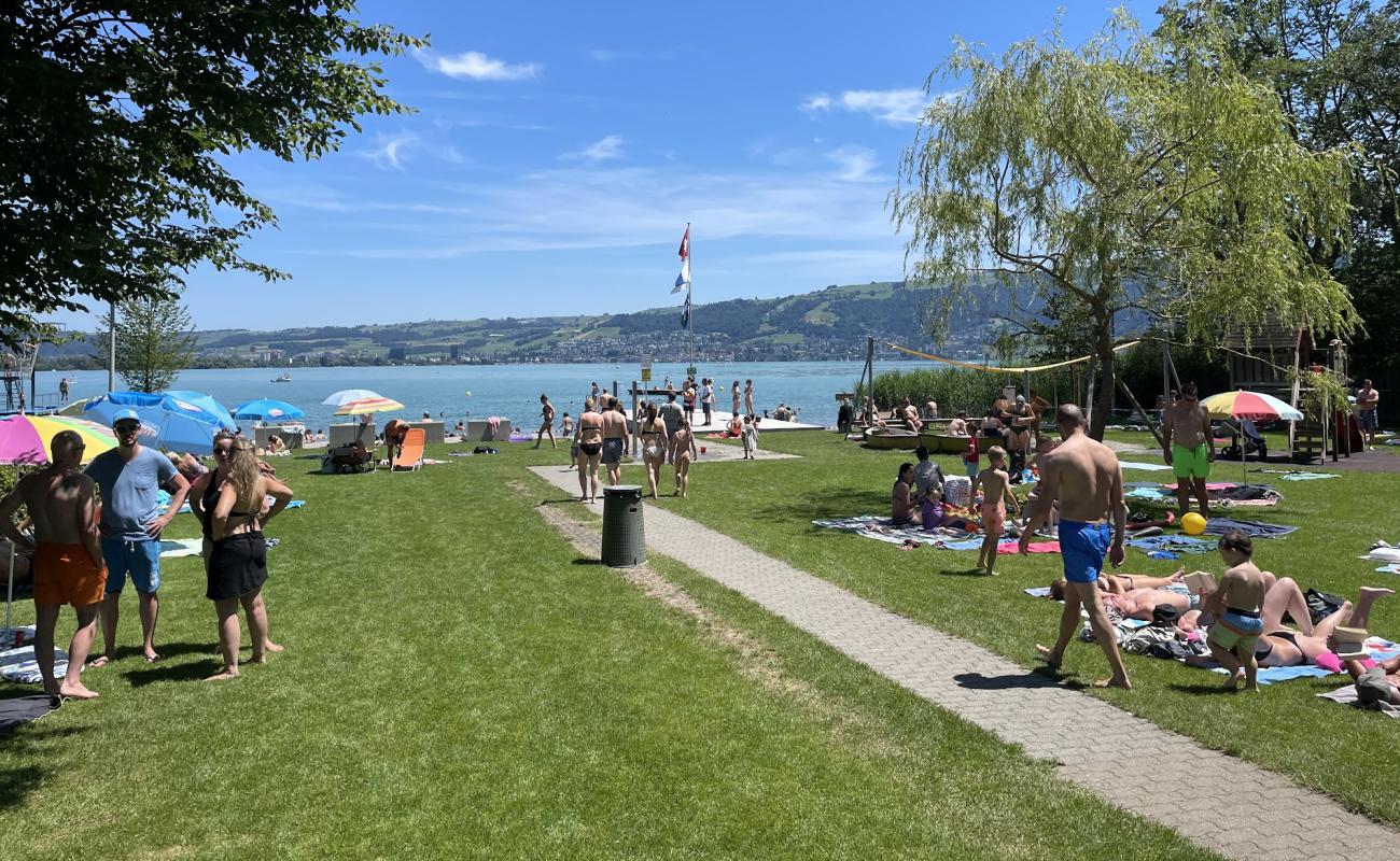 Photo de Strandbad Huenenberg avec herbe de surface