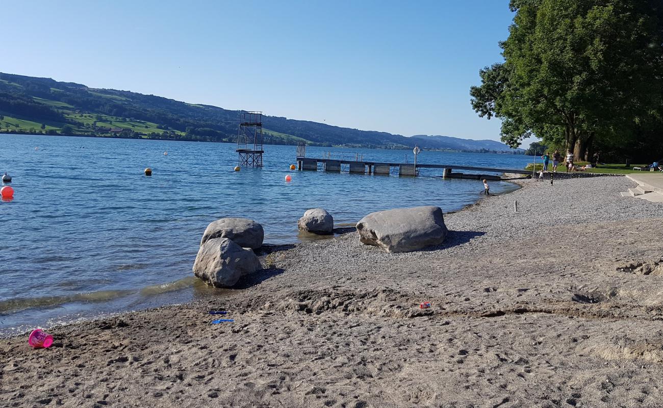 Photo de Seebad Baldegg avec herbe de surface