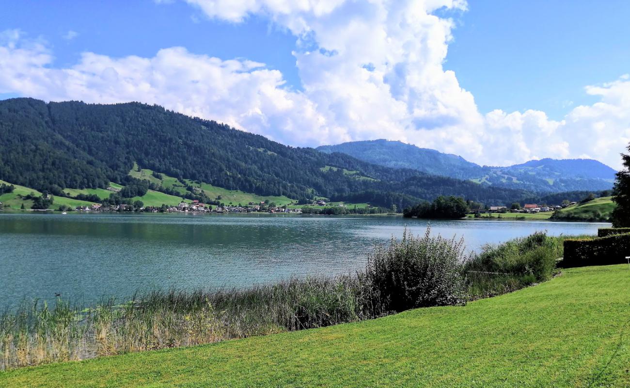 Photo de Naasstrasse Strand avec herbe de surface