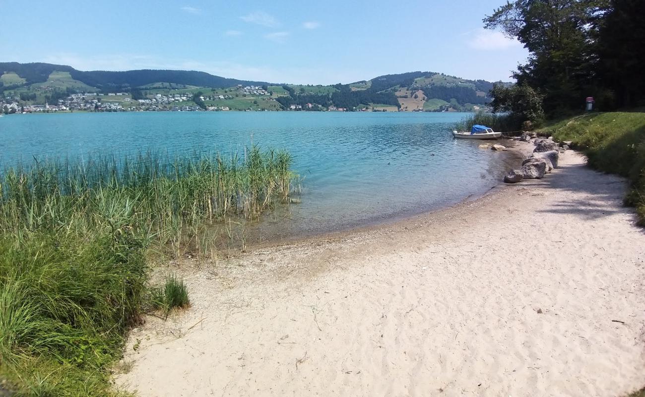 Photo de Bergwald Beach avec sable lumineux de surface