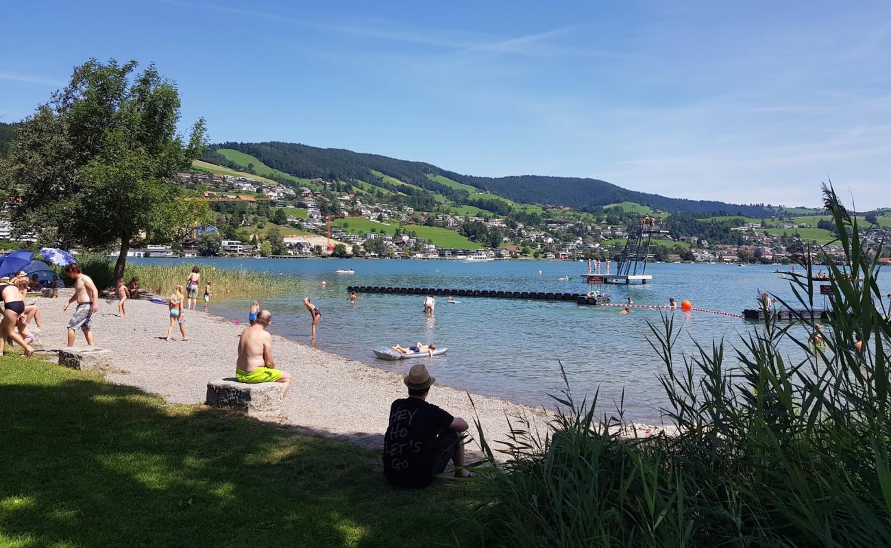 Photo de Strandbad Lido Unterageri avec herbe de surface