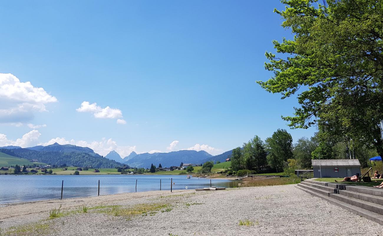 Photo de Einsiedeln Beach avec herbe de surface