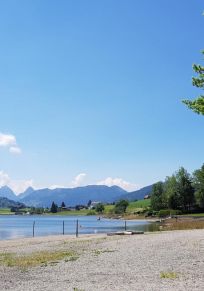 Canton de Schwytz