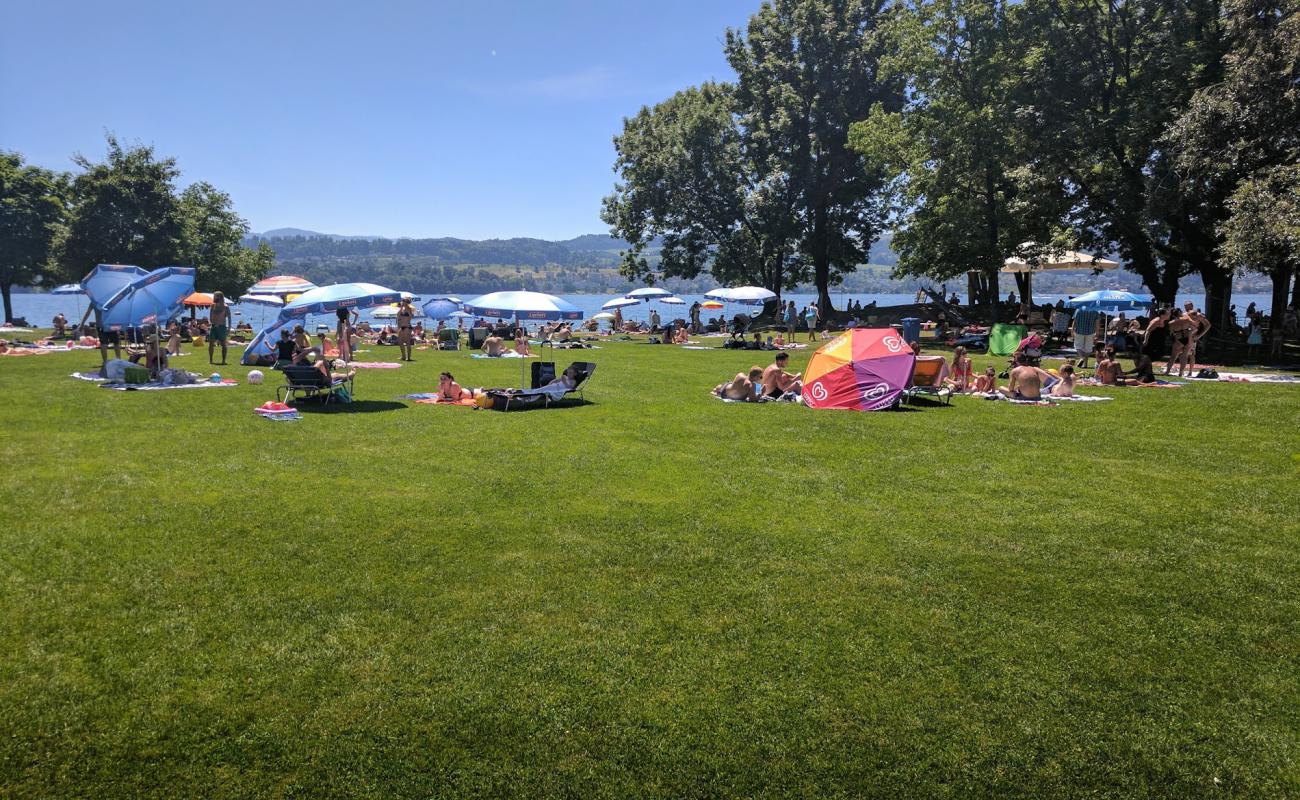 Photo de Strandbad Dorfmeilen avec herbe de surface
