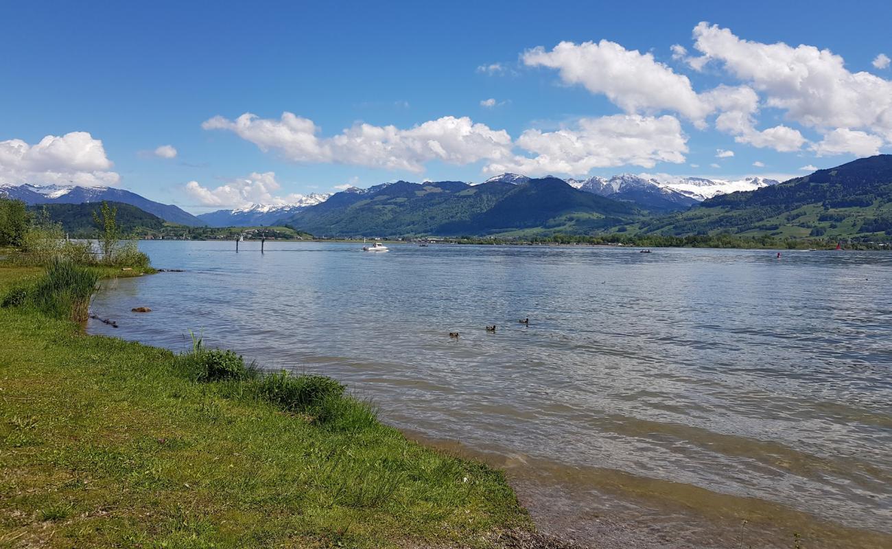 Photo de Strandbad Stampf avec herbe de surface