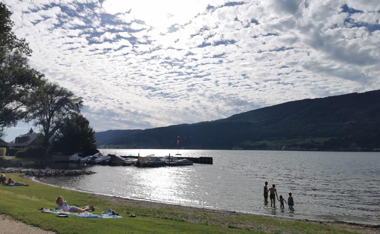 Photo de Strandbad Sutz avec herbe de surface