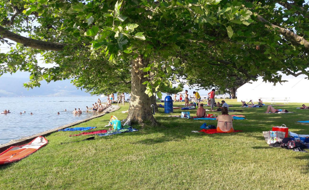 Photo de Strandbad Luscherz avec béton de surface