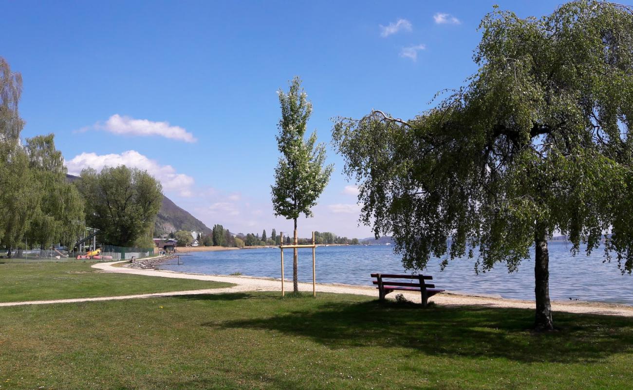 Photo de Piscine du Landeron avec herbe de surface