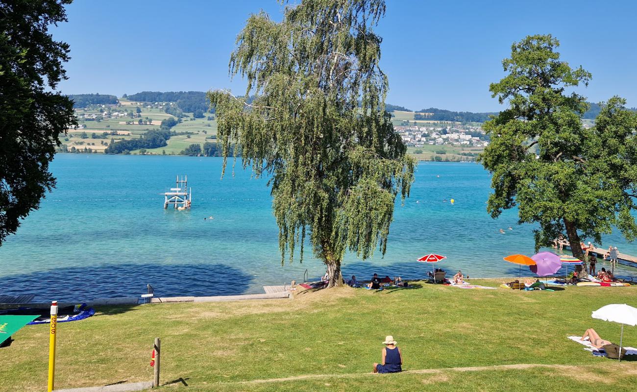 Photo de Strandbad Seerose avec herbe de surface