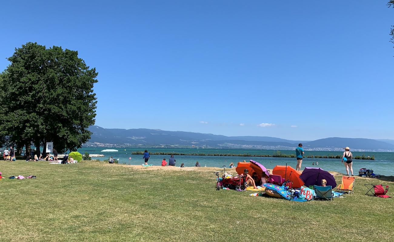 Photo de Plage publique Grande Gouille avec sable lumineux de surface